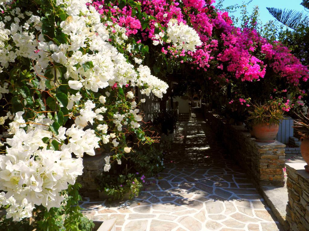 Dimitra Studios Kastraki (Naxos) Quarto foto