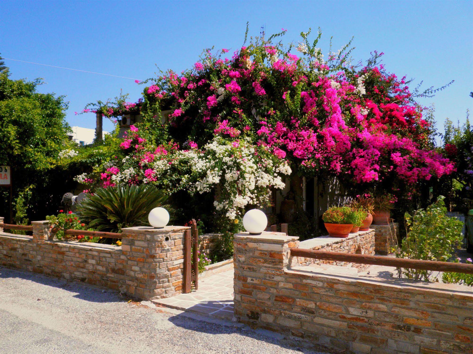 Dimitra Studios Kastraki (Naxos) Exterior foto