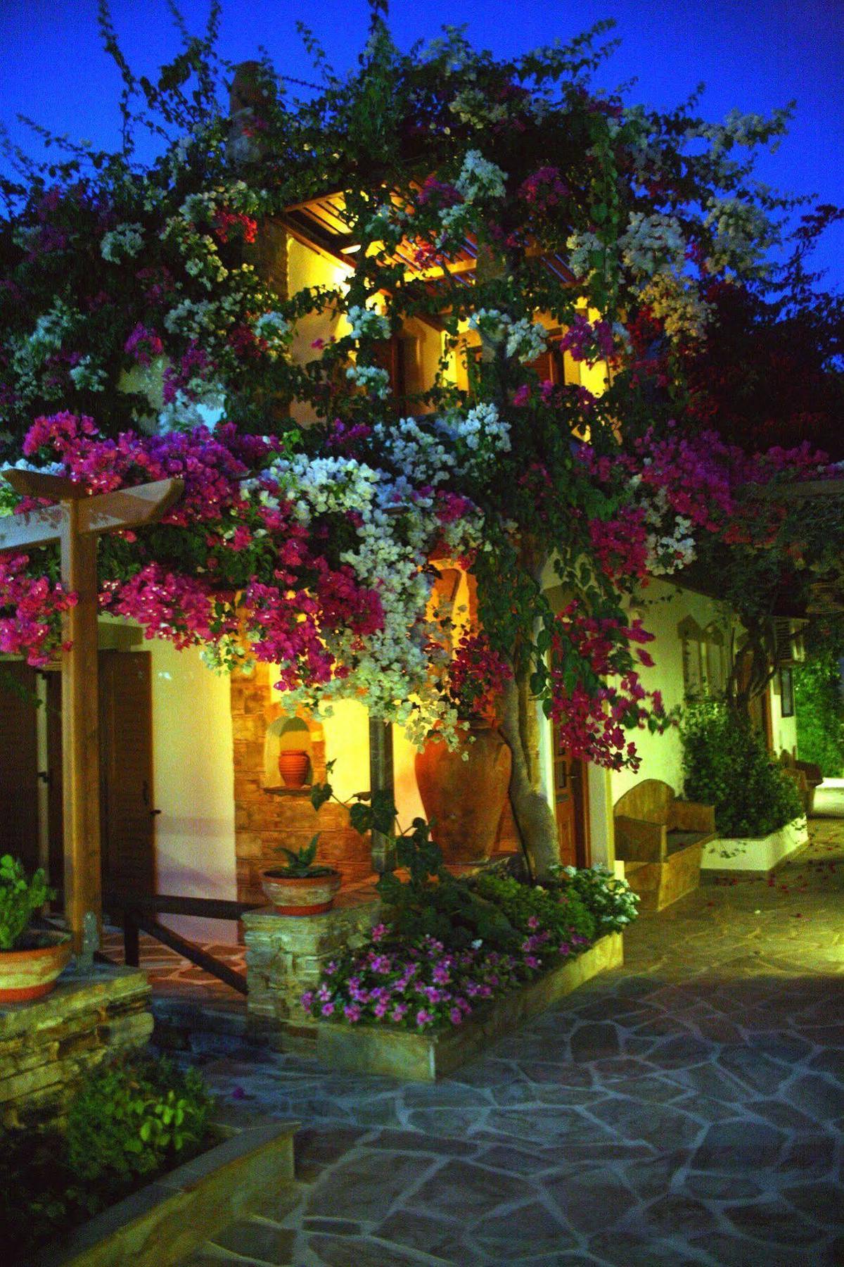 Dimitra Studios Kastraki (Naxos) Exterior foto